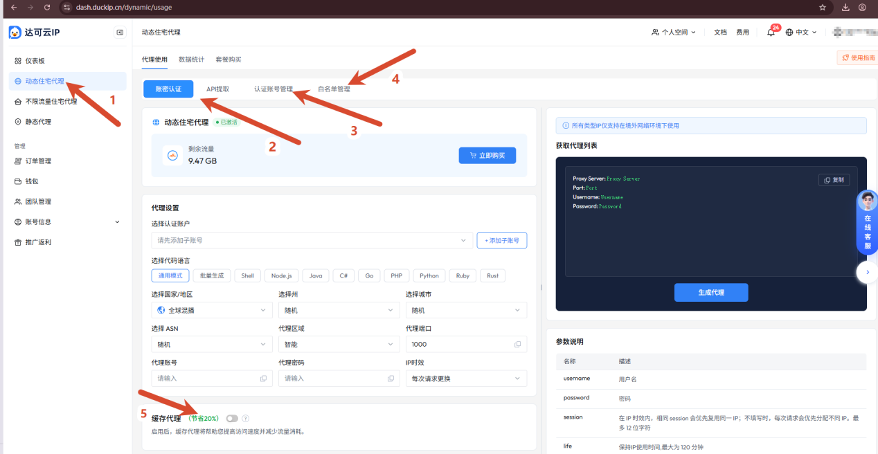 图 1：「代理使用」页的认证方式切换