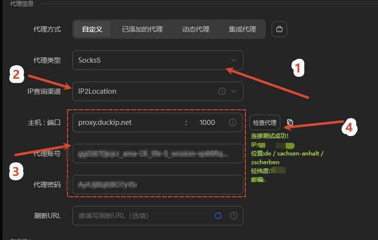 图 1：前置验证：代理信息填写后检测通过