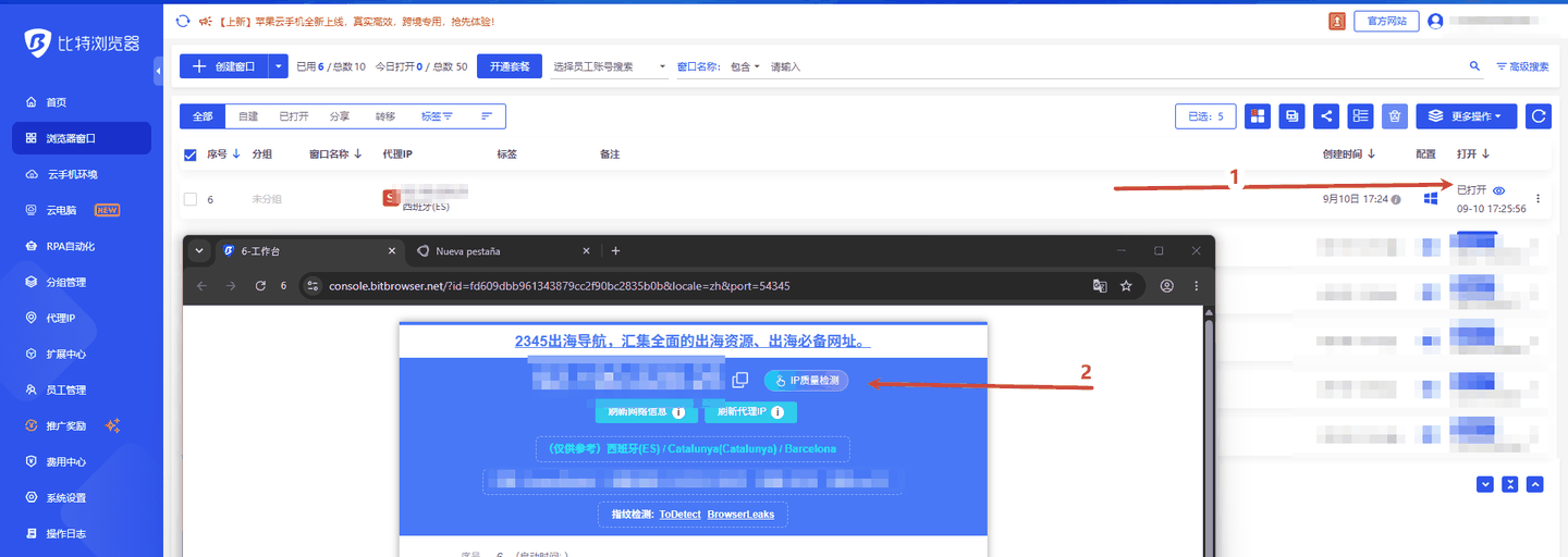 图 8：打开窗口后核对出口 IP